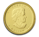 maple-leaf-2011-1-20oz-gold_b-png