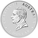 Australien Quokka 1 Unze Silbermünze 2024 coloriert - Polierte Platte