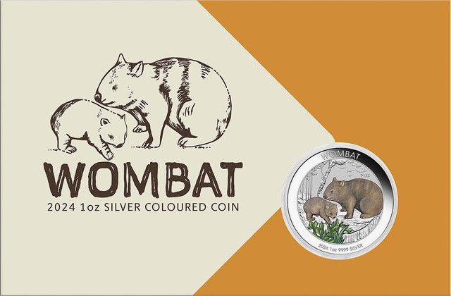Australien Wombat 1 Unze Silbermünze 2024 coloriert - Coincard
