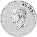Australien Wombat 1 Unze Silbermünze 2024 coloriert - Coincard