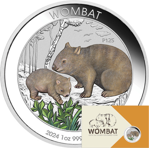Australien Wombat 1 Unze Silbermünze 2024 coloriert - Coincard