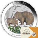 Australien Wombat 1 Unze Silbermünze 2024 coloriert - Coincard