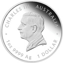 Australien Lunar III Schlange 1 Unze Silbermünze 2025 coloriert - Polierte Platte