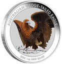 Australien Wedge-Tailed Eagle 1 Unze Silbermünze 2025 coloriert - Coincard