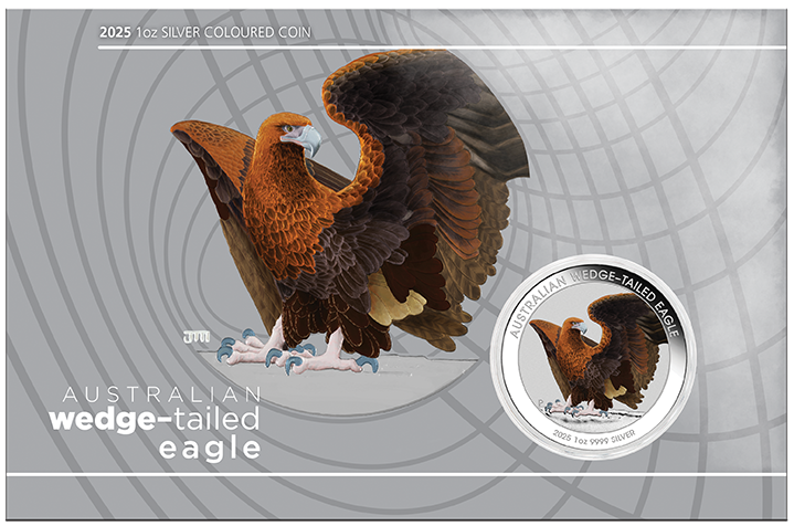 Australien Wedge-Tailed Eagle 1 Unze Silbermünze 2025 coloriert - Coincard