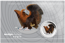 Australien Wedge-Tailed Eagle 1 Unze Silbermünze 2025 coloriert - Coincard