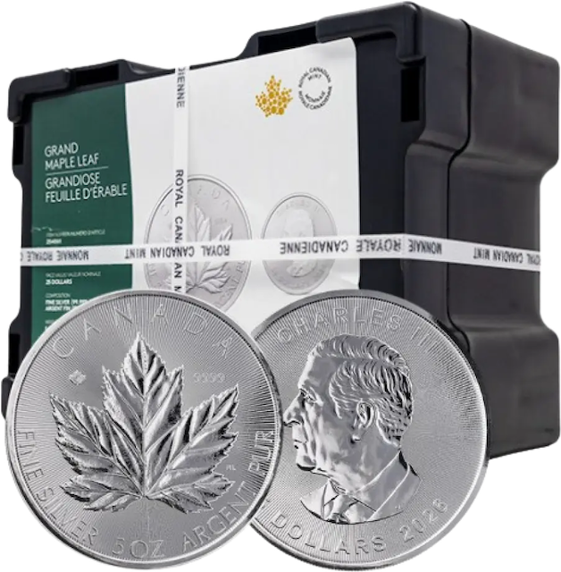 Maple Leaf 5 Unzen Silbermünze 2026