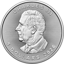 Maple Leaf 1 Unze Silbermünze 2026