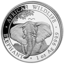 Somalia Elefant 1 Unze Silbermünze 2021 differenzbesteuert