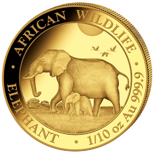 Somalia Elefant 1/10 Unze Goldmünze 2022