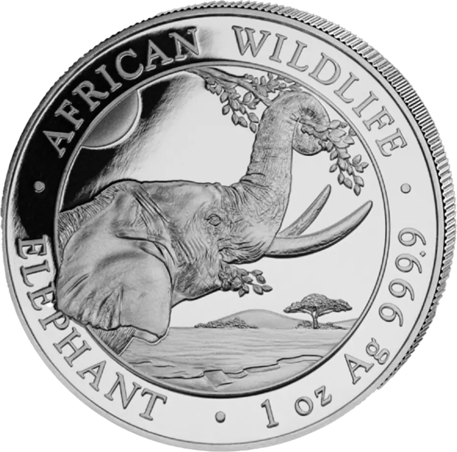 Somalia Elefant 1 Unze Silbermünze 2023 | differenzbesteuert
