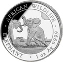 Somalia Elefant 1 Unze Silbermünze 2024 differenzbesteuert