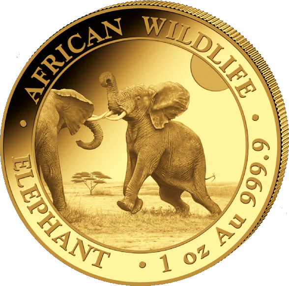 Somalia Elefant 1 Unze Goldmünze 2024