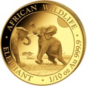 Somalia Elefant 1/10 Unze Goldmünze 2024