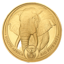 Südafrika Big Five - Elefant 1 Unze Goldmünze 2023