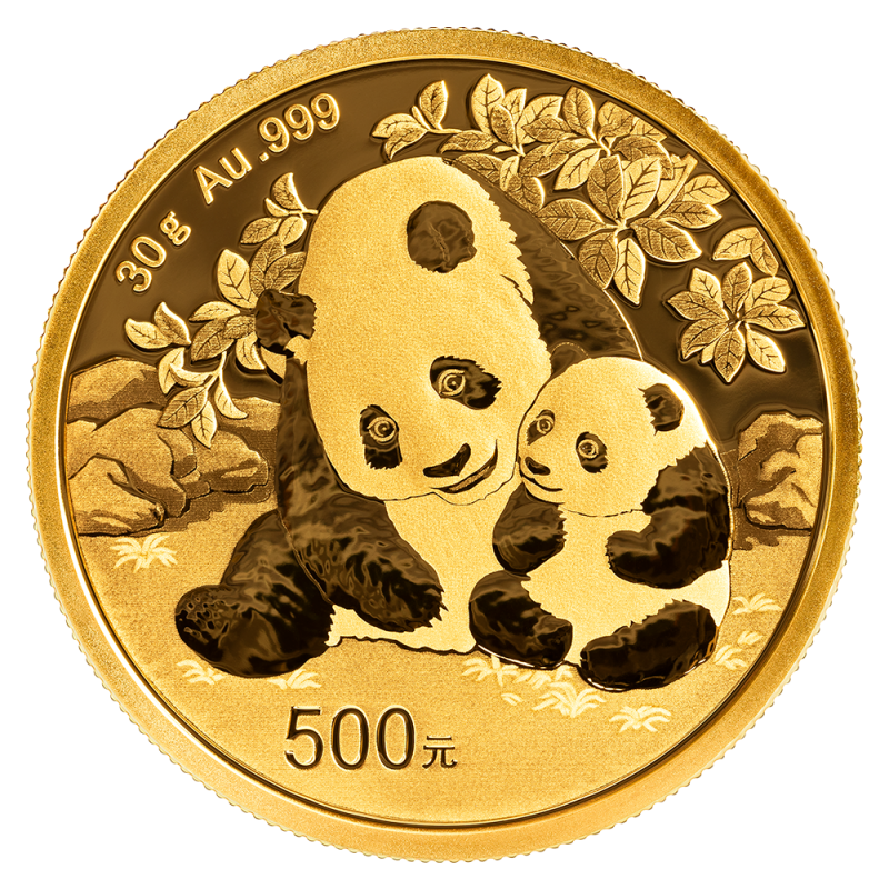 China Panda 30g Goldmünze 2024