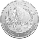 Kanadisches Bison Wildlife Serie 1oz Silbermünze 2013 differenzbesteuert