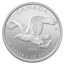 Birds of Prey - Weisskopfseeadler 1 Unze Silbermünze 2014 | differenzbesteuert