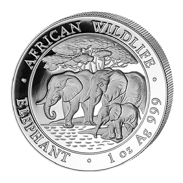 Somalia Elefant 1 Unze Silbermünze 2013 | differenzbesteuert