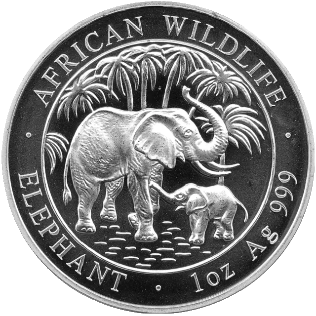 Somalia Elefant 1 Unze Silbermünze 2007 | differenzbesteuert