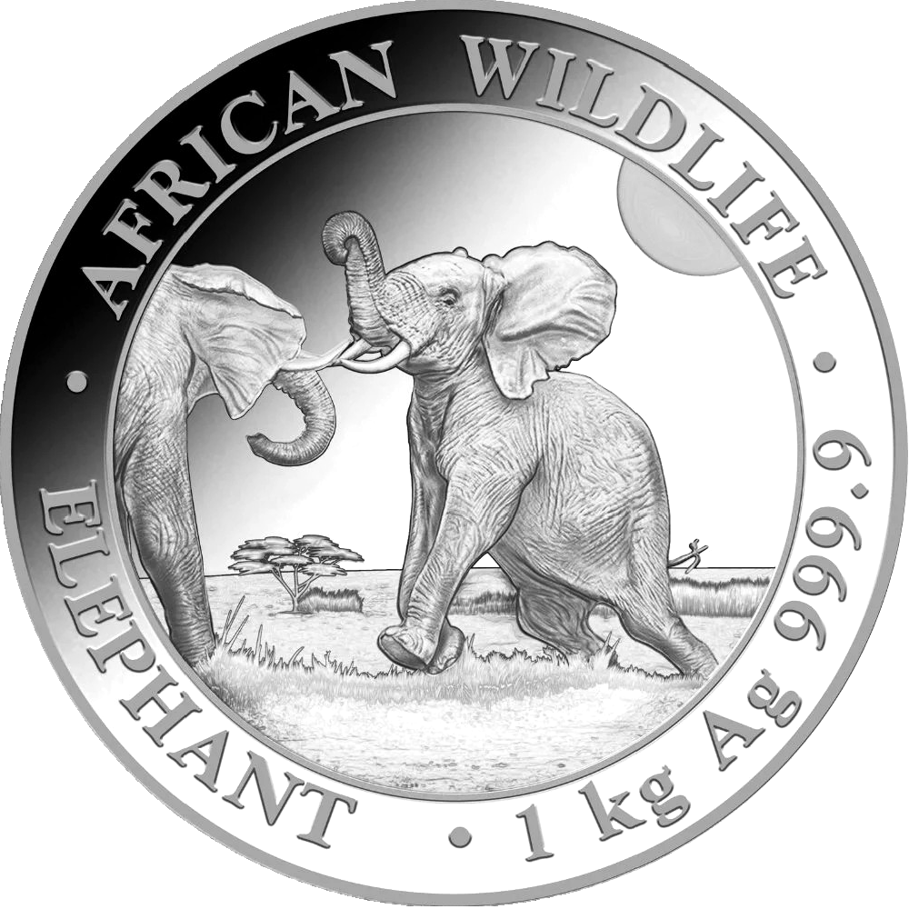 Somalia Elefant 1 Kilo Silbermünze 2024 | differenzbesteuert