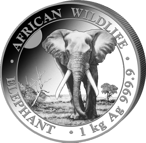 Somalia Elefant 1 Kilo Silbermünze 2025 | differenzbesteuert