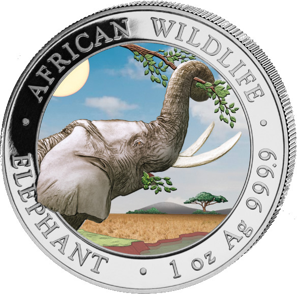 Somalia Elefant 1 Unze Silbermünze 2023 | coloriert