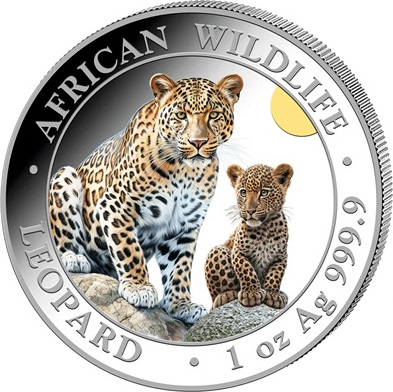 Somalia African Wildlife Leopard 1 Unze Silbermünze 2024 - coloriert | differenzbesteuert