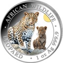 Somalia African Wildlife Leopard 1 Unze Silbermünze 2024 - coloriert | differenzbesteuert
