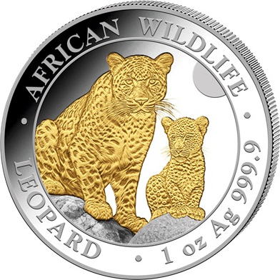 Somalia African Wildlife Leopard 1 Unze Silbermünze 2024 - teilvergoldet | differenzbesteuert