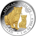 Somalia African Wildlife Leopard 1 Unze Silbermünze 2024 - teilvergoldet | differenzbesteuert