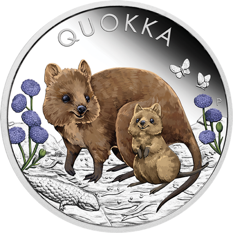 Australien Quokka 1 Unze Silbermünze 2022 coloriert - Polierte Platte differenzbesteuert
