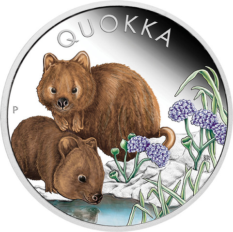 Australien Quokka 1 Unze Silbermünze 2023 coloriert | Proof