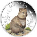 Australien Quokka 1 Unze Silbermünze 2024 coloriert - Polierte Platte differenzbesteuert
