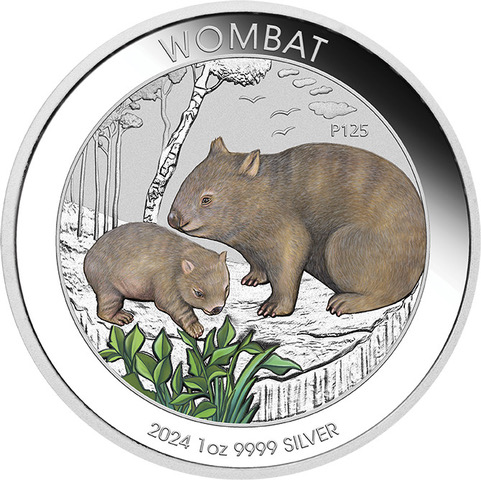 Australien Wombat 1 Unze Silbermünze 2024 coloriert - Coincard | differenzbesteuert