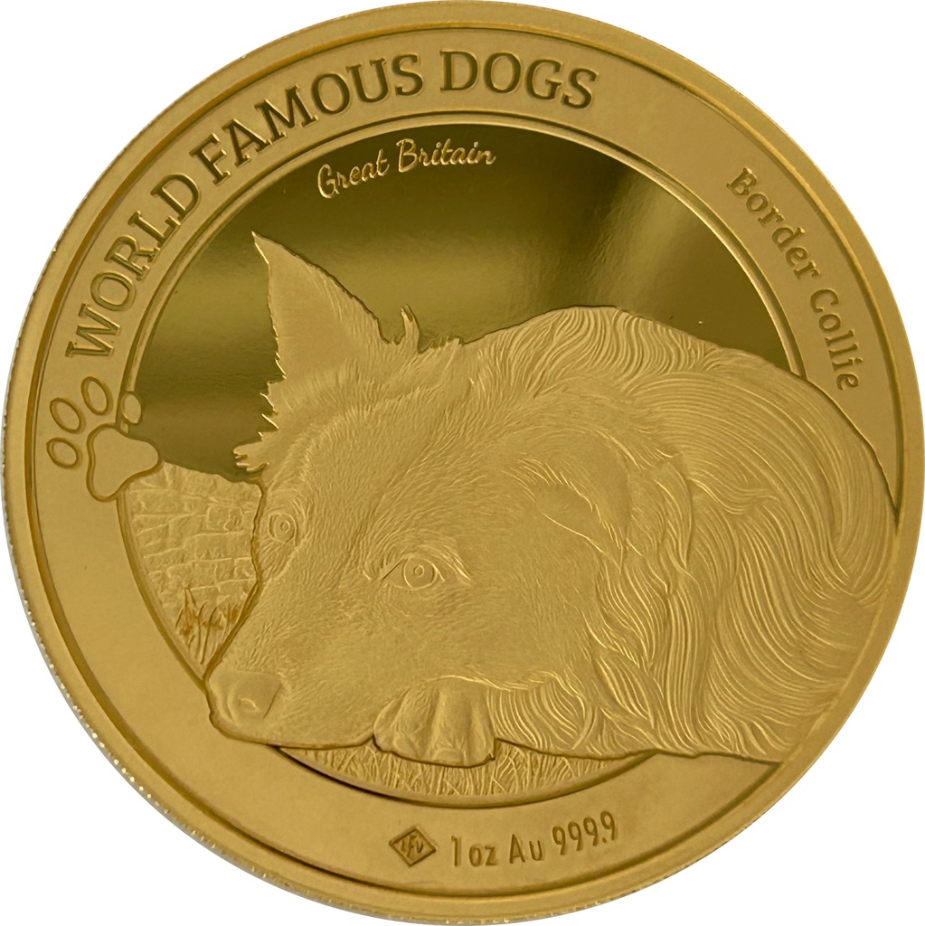 World Famous Dogs Border Collie 1 Unze Goldmünze 2025
