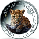 Somalia African Wildlife Leopard 1 Unze Silbermünze 2025 | coloriert