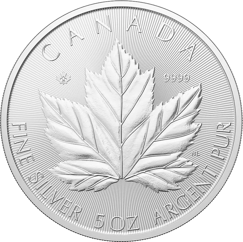 Maple Leaf 5 Unzen Silbermünze 2026