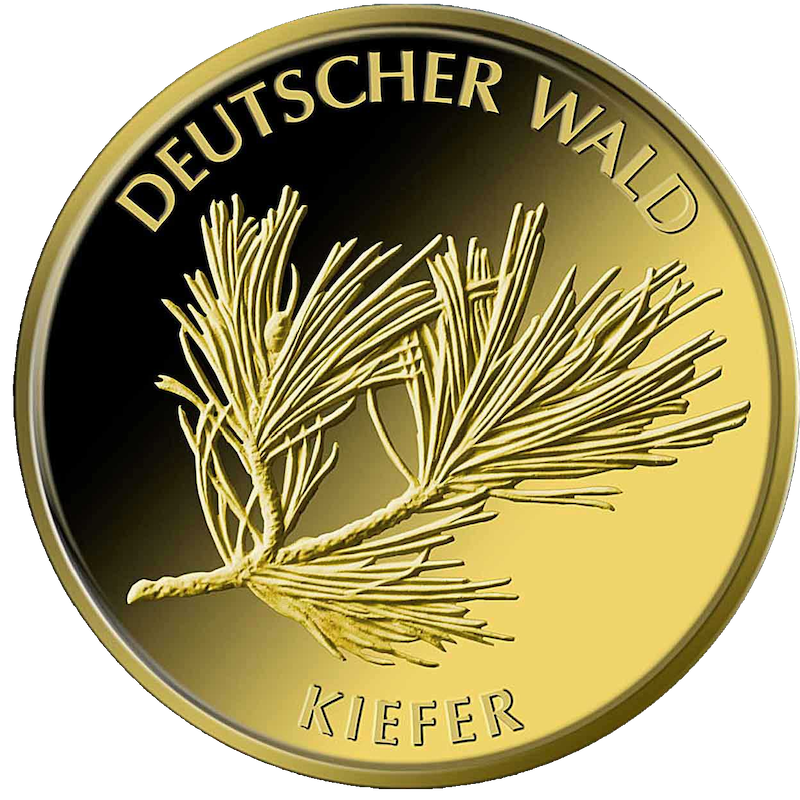 20 Euro Deutscher Wald Kiefer 1/8 oz Goldmünze 2013 (F)