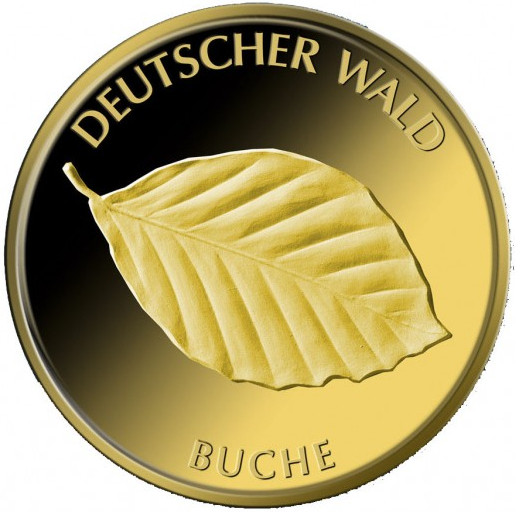 20 Euro Deutscher Wald Buche 1/8 oz Goldmünze 2011 (D)