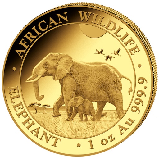 [13115] Somalia Elefant 1oz Goldmünze 2022