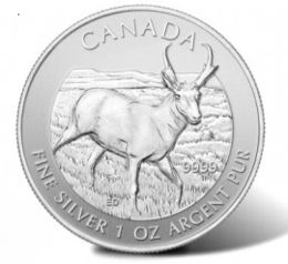 [20430] Kanadische Antilope Wildlife Serie 1oz Silbermünze 2013 differenzbesteuert