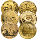 China Panda 1/4 Unze Goldmünze verschiedene Jahre