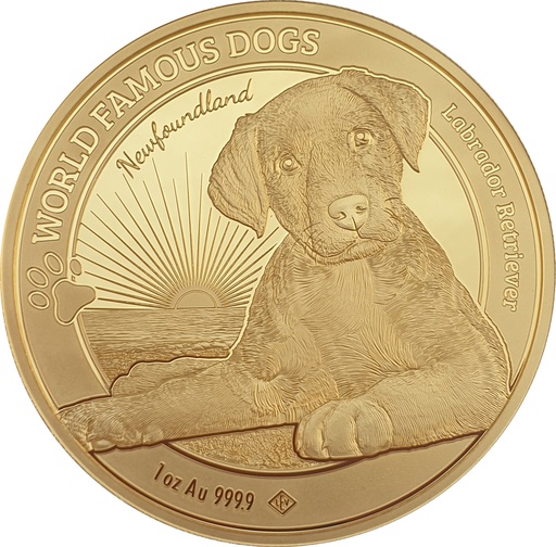 [10332] World Famous Dogs Labrador 1 Unze Goldmünze 2023