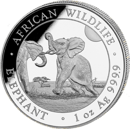 [23130] Somalia Elefant 1 Unze Silbermünze 2024