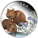 Australien Quokka 1 Unze Silbermünze 2023 coloriert - Polierte Platte