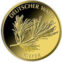 20 Euro Deutscher Wald Kiefer 1/8 oz Goldmünze 2013 (A)